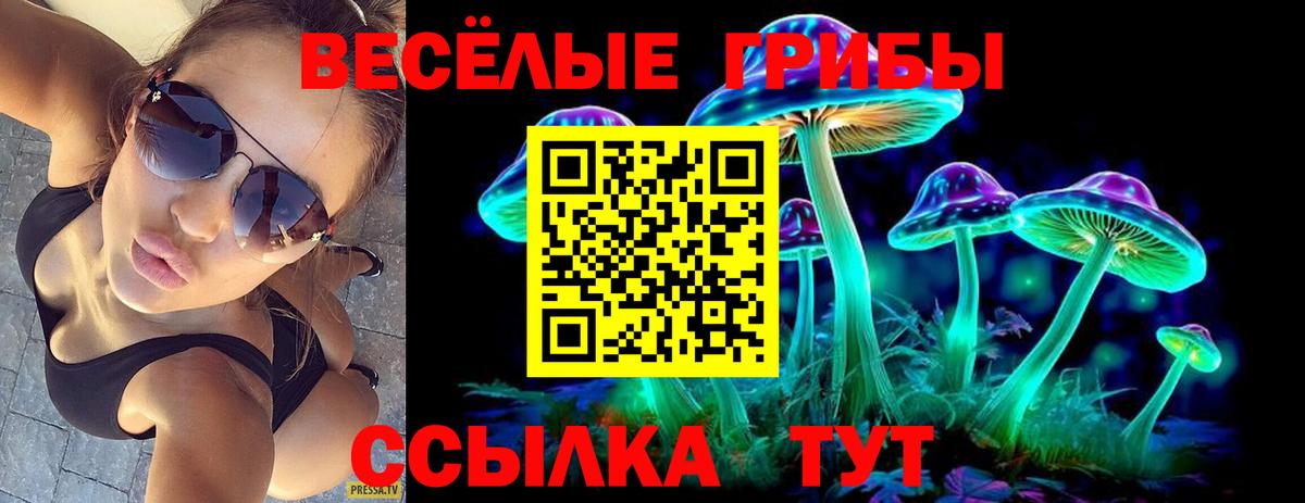 Галлюциногенные грибы Psilocybe  Вход с VPN  Бугуруслан  Псилоцибиновые грибы прущие грибы 